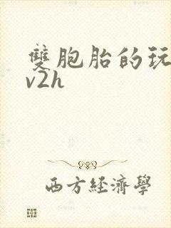 双胞胎的玩具1v2h封面