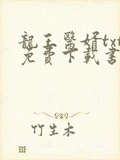 龙王医婿txt免费下载书包网封面