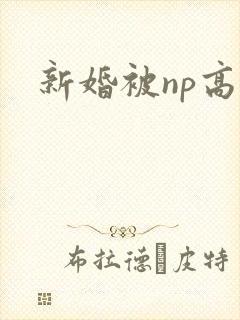 新婚被np高h