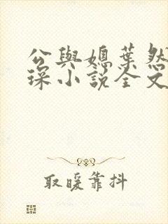 公与媳叶然严临琛小说全文免费阅读