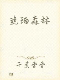 琥珀森林封面