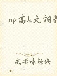 np高h文调教