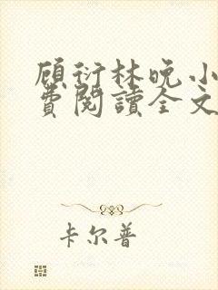 顾衍林晚小说免费阅读全文最新章节更新