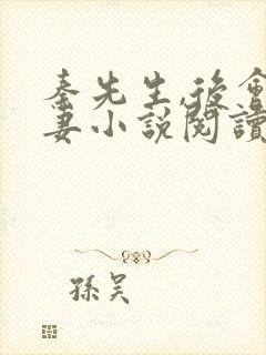 秦先生,后会无妻小说阅读