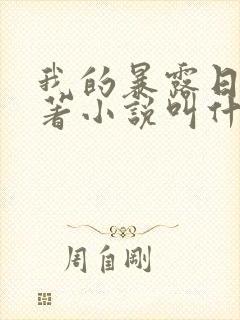 我的暴露日记原著小说叫什么