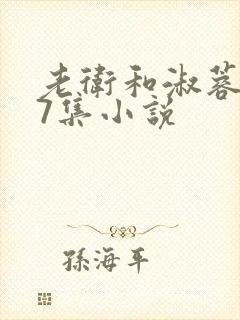 老卫和淑蓉1一7集小说