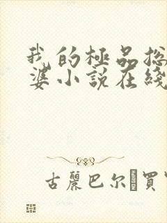 我的极品总裁老婆小说在线阅读