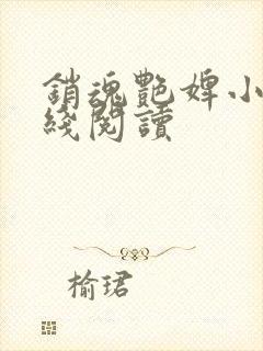 销魂艳婢小说在线阅读