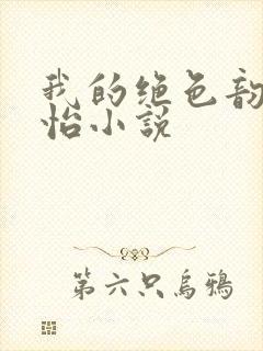 我的绝色韵母郑怡小说