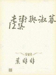 老卫与淑蓉5一12集