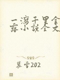 一泻千里金银花露小说全文免费阅读