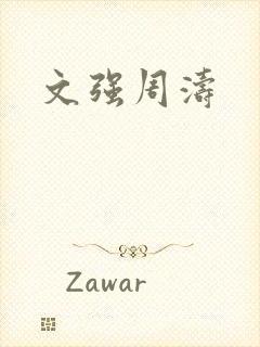 文强周涛