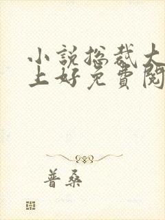 小说总裁大人晚上好免费阅读全本封面