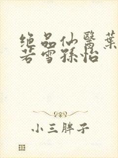 绝品仙医叶辰夏若雪孙怡