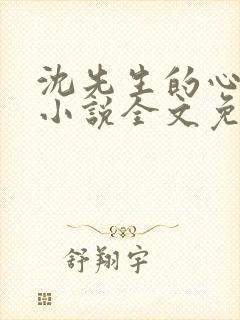 沈先生的心头宝小说全文免费阅读