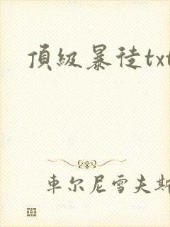 顶级暴徒txt