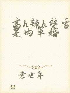 高h辣h双处全是肉军婚