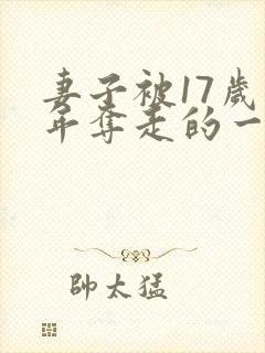 妻子被17岁少年夺走的一小说封面