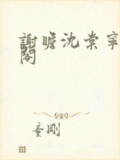 谢瞻沈棠宁笔趣阁