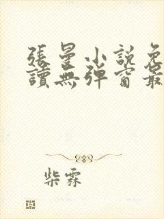 张曼小说免费阅读无弹窗最新章节封面