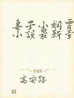 妻子小娴贾仁的小说最新章节封面