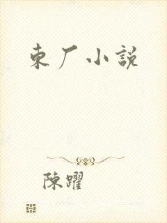 东厂小说