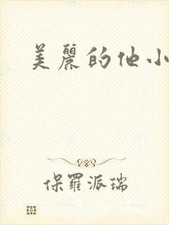 美丽的他小说封面