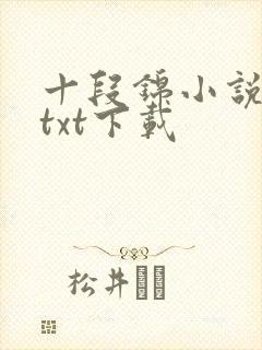 十段锦小说全本txt下载