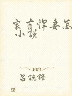 家有悍妻怎么破 小说