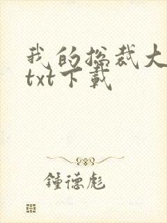 我的总裁大老婆txt下载封面