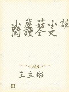 小蘑菇小说免费阅读全文封面