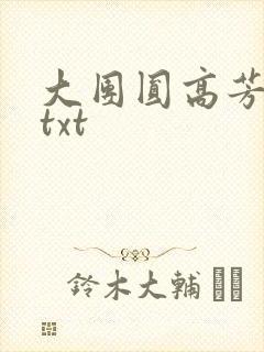 大团圆高芳小说txt