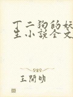 丁二狗的妖孽人生小说全文无删减封面