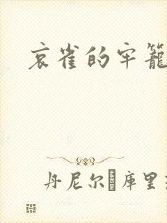 哀雀的牢笼