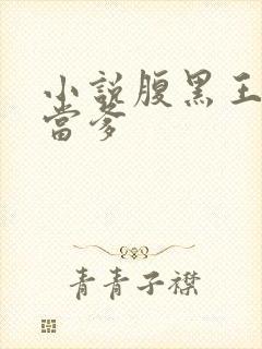 小说腹黑王爷喜当爹