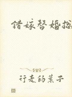 错嫁替婚总裁