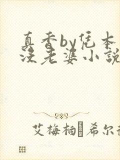 真香by凭本事没老婆小说免费阅读