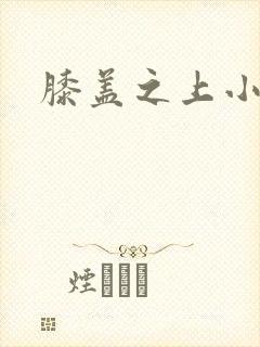 膝盖之上小说