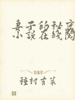妻子的秘密薛星小说在线阅读