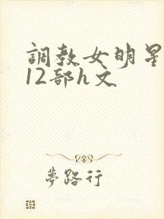 调教女明星1～12部h文封面