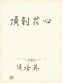 顶到花心