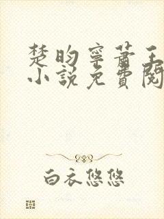 楚昀宁萧王穿越小说免费阅读无弹窗