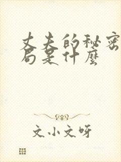 丈夫的秘密大结局是什么
