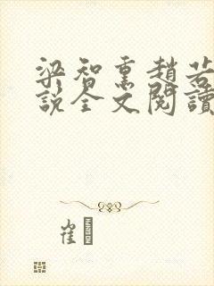 梁智熏赵若芸小说全文阅读