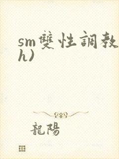 sm双性调教(h)封面