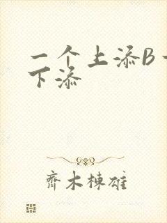一个上添B一个下添