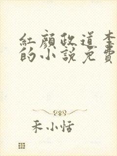 红颜政道李正安的小说免费阅读封面