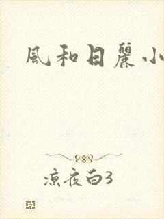 风和日丽小说
