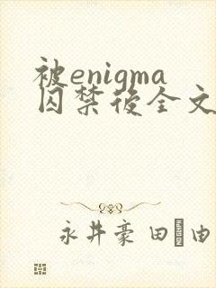 被enigma囚禁后全文免费阅读
