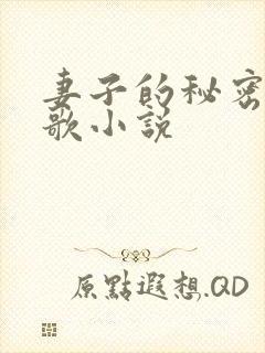 妻子的秘密君莫歌小说